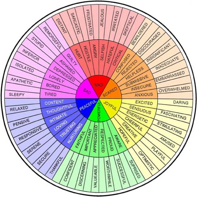 Feelings Wheel – Rashi Bhargava